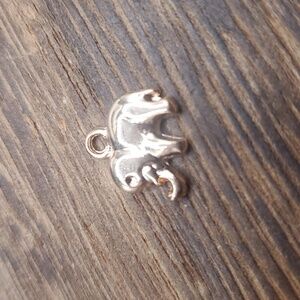 An elephants day‎ at the zoo charm P108